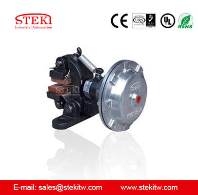 폴리싱 머신 대안 STEKI 2019 DBG-20 수직 공기 디스크 브레이크 200mm 지름